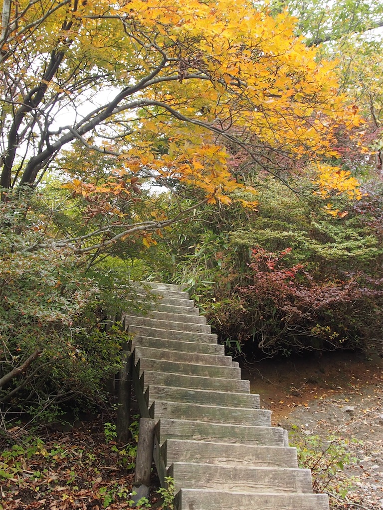 f:id:chitoseclimb:20201027202252j:image