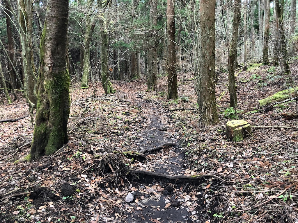 f:id:chitoseclimb:20201202223830j:image f:id:chitoseclimb:20201202223830j:image