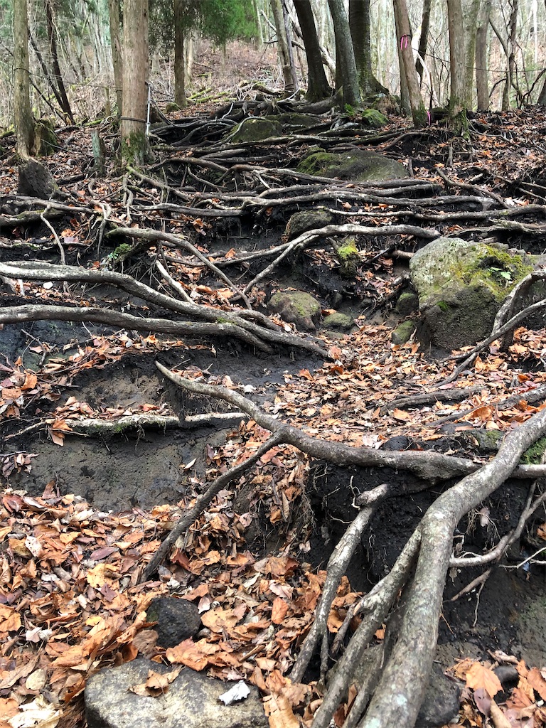 f:id:chitoseclimb:20201202223851j:image f:id:chitoseclimb:20201202223851j:image