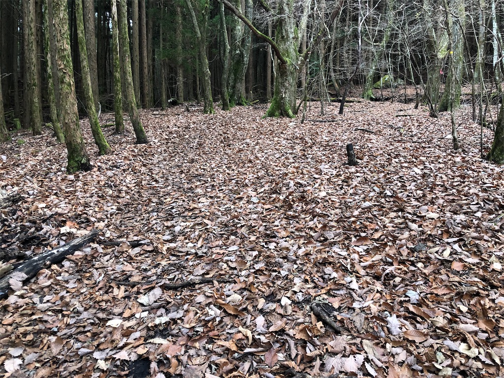 f:id:chitoseclimb:20201202223922j:image