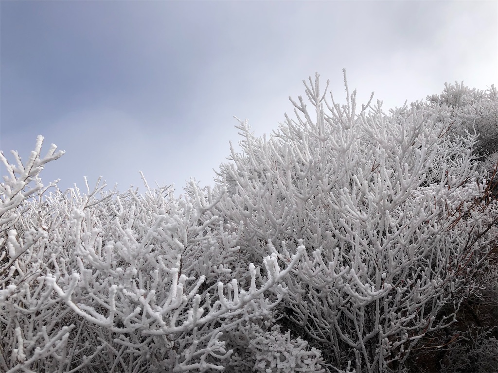 f:id:chitoseclimb:20201202224227j:image f:id:chitoseclimb:20201202224227j:image