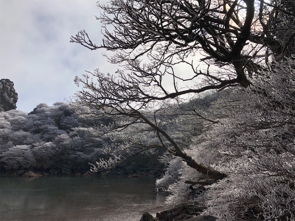 f:id:chitoseclimb:20201202224432j:image f:id:chitoseclimb:20201202224432j:image