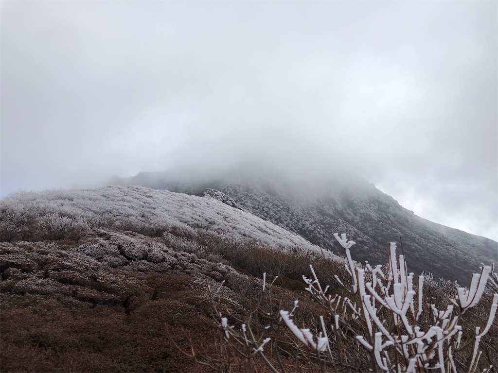 f:id:chitoseclimb:20201202224528j:image f:id:chitoseclimb:20201202224528j:image