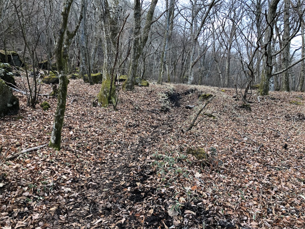 f:id:chitoseclimb:20201202224706j:image f:id:chitoseclimb:20201202224706j:image