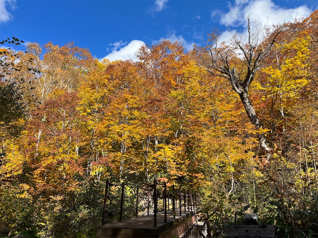 日本百名山を2座（妙高山・火打山）制覇 - ゆるゆる登山隊 blog