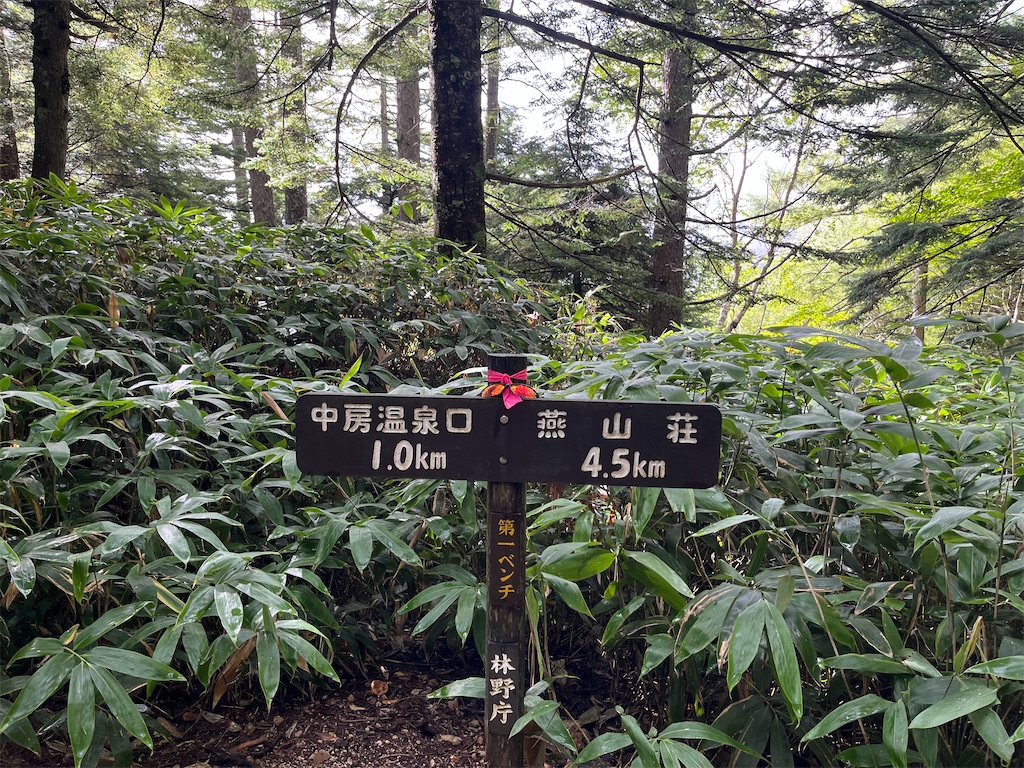 f:id:chitoseclimb:20230916192737j:image f:id:chitoseclimb:20230916192737j:image