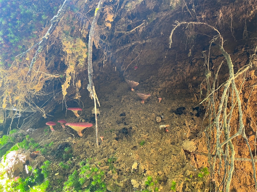 f:id:chitoseclimb:20230916192800j:image f:id:chitoseclimb:20230916192800j:image