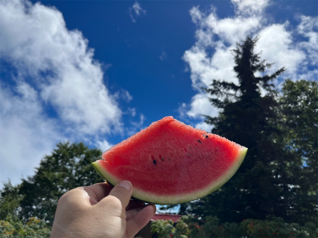 f:id:chitoseclimb:20230916192841j:image f:id:chitoseclimb:20230916192841j:image