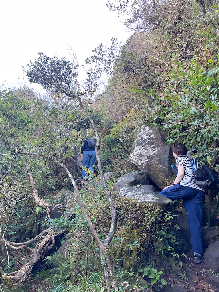 f:id:chitoseclimb:20231123114407j:image f:id:chitoseclimb:20231123114407j:image