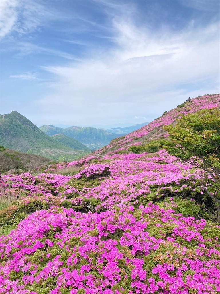 f:id:chitoseclimb:20240612003101j:image