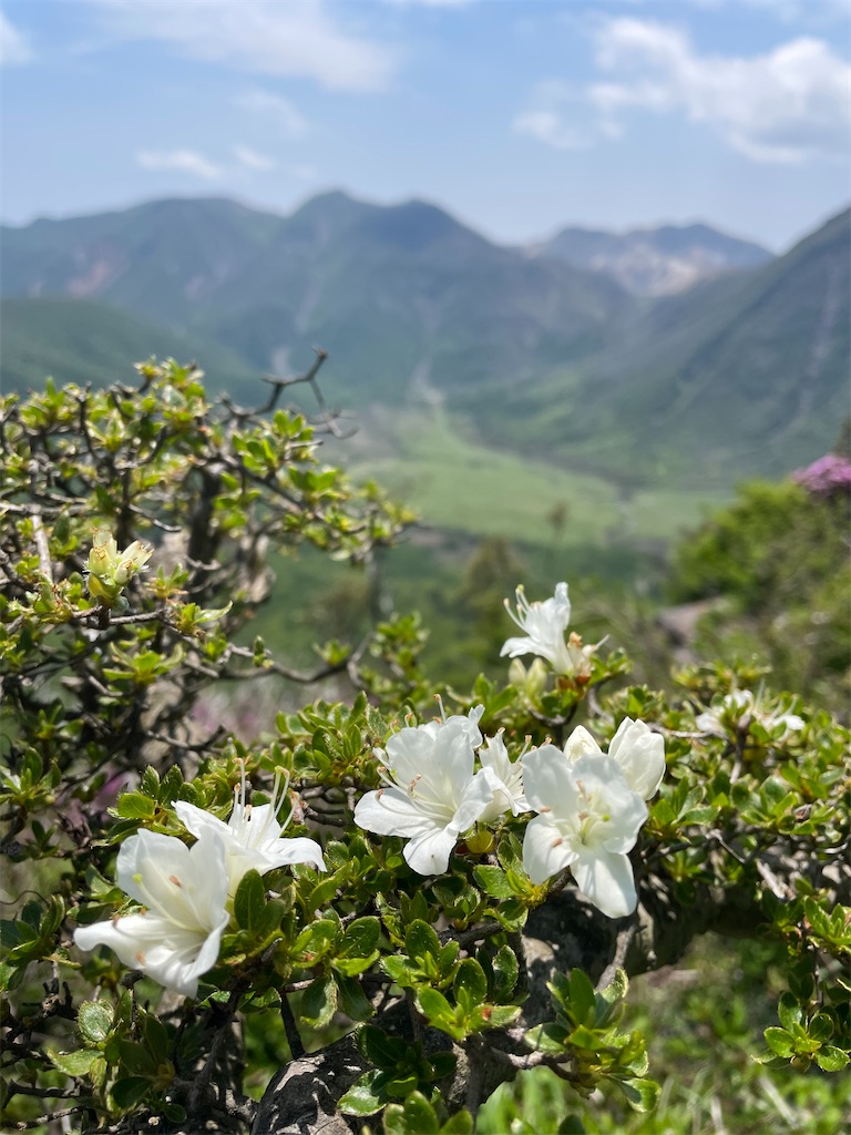 f:id:chitoseclimb:20240613001323j:image