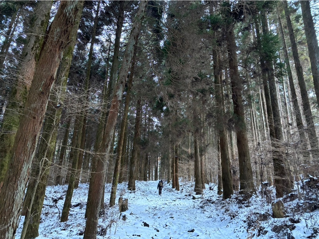 f:id:chitoseclimb:20250123223754j:image