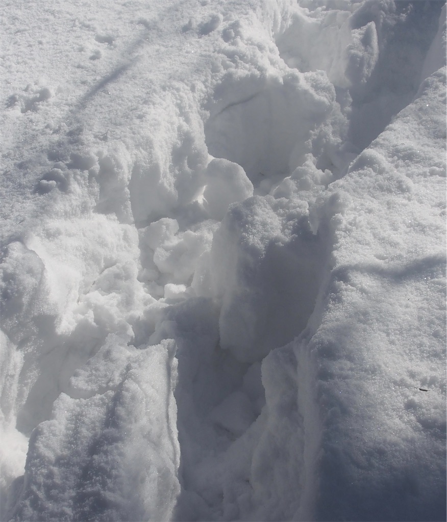 f:id:chitoseclimb:20250123224043j:image