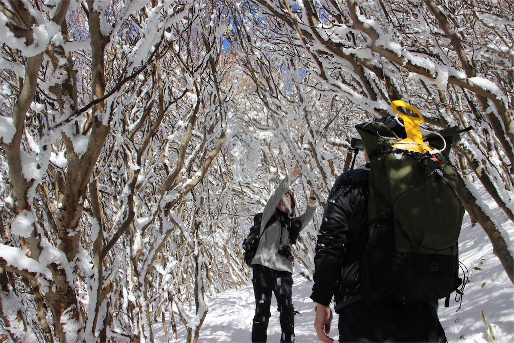 f:id:chitoseclimb:20250123224404j:image