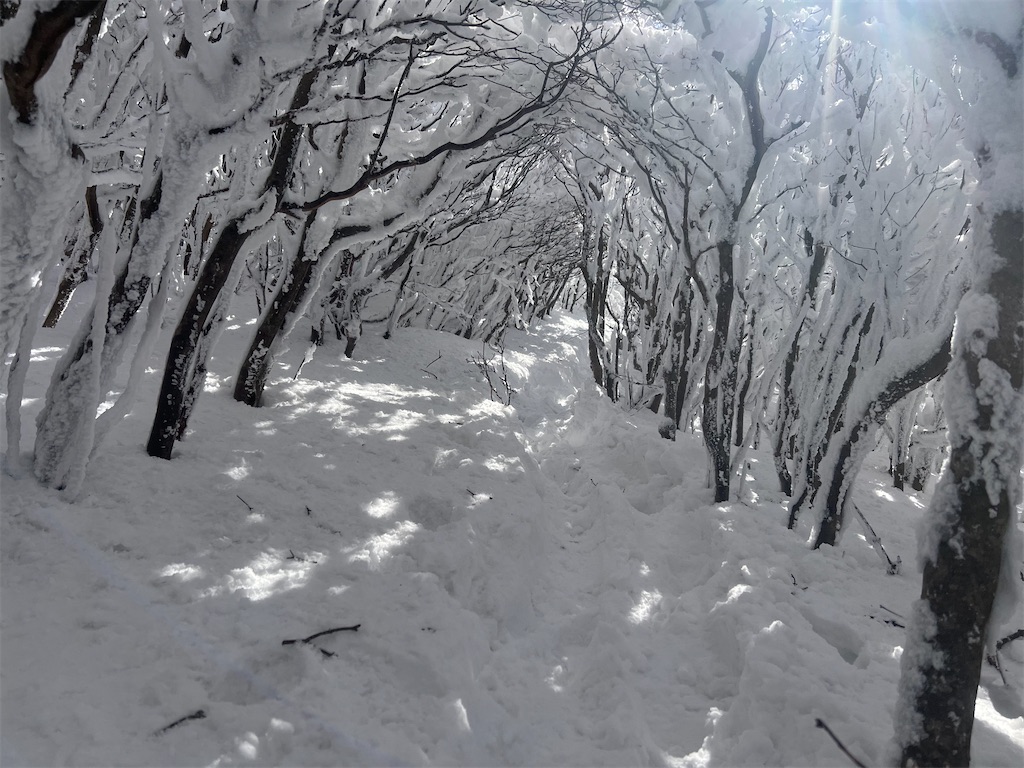 f:id:chitoseclimb:20250123224853j:image