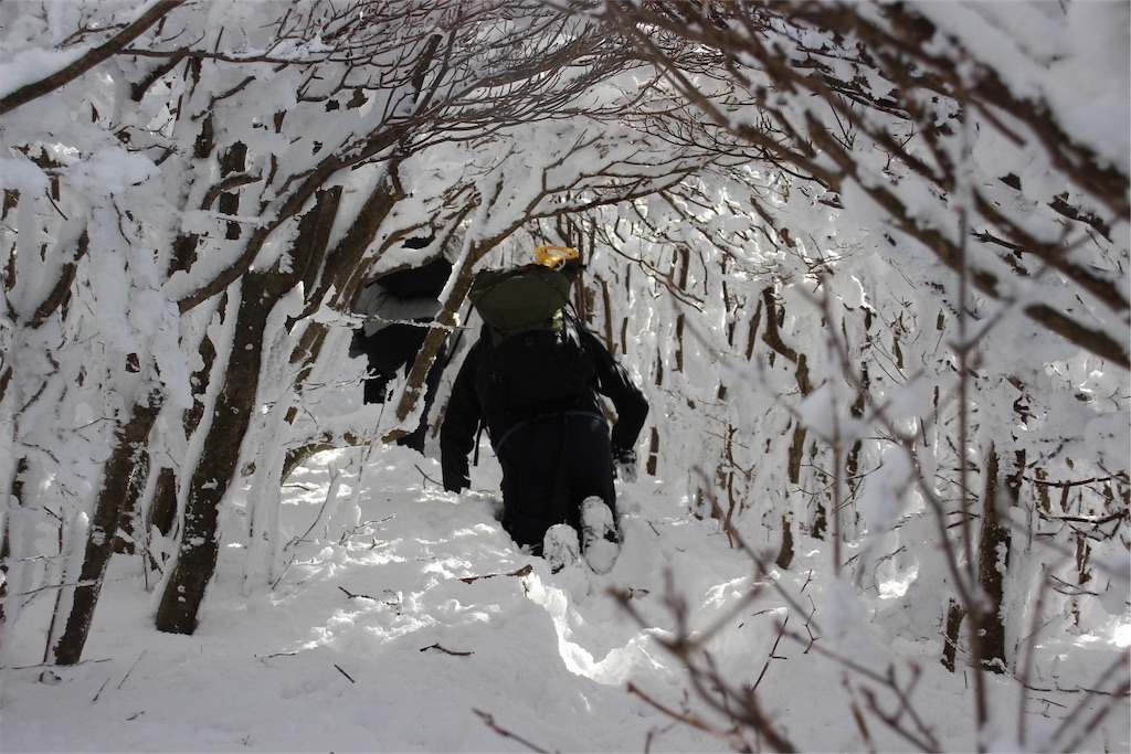 f:id:chitoseclimb:20250123224948j:image