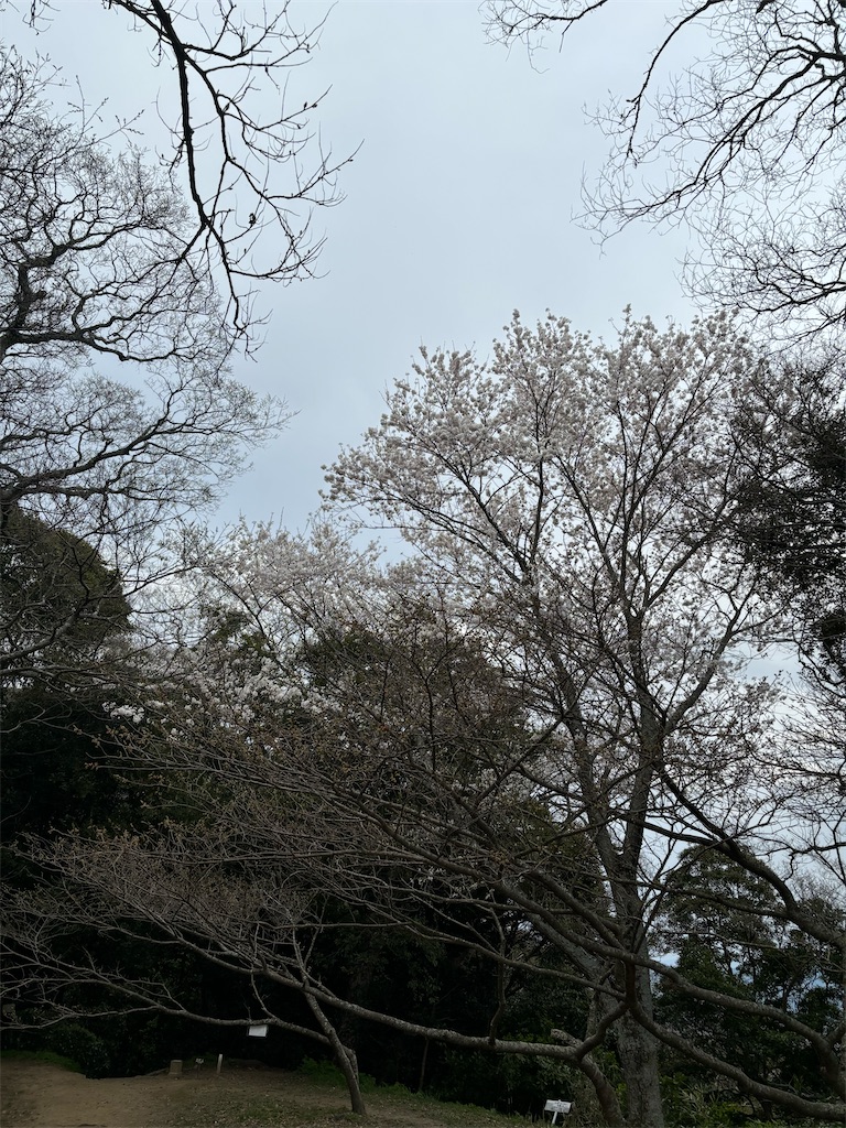 f:id:chitoseclimb:20250414230311j:image