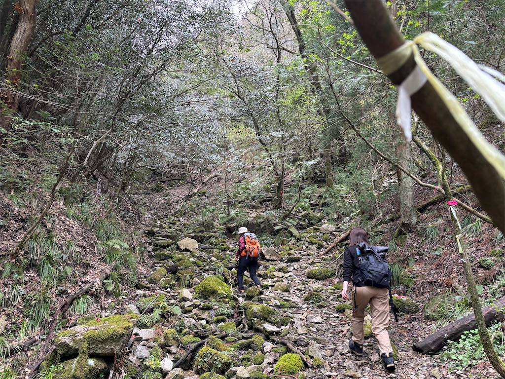 f:id:chitoseclimb:20250426165422j:image