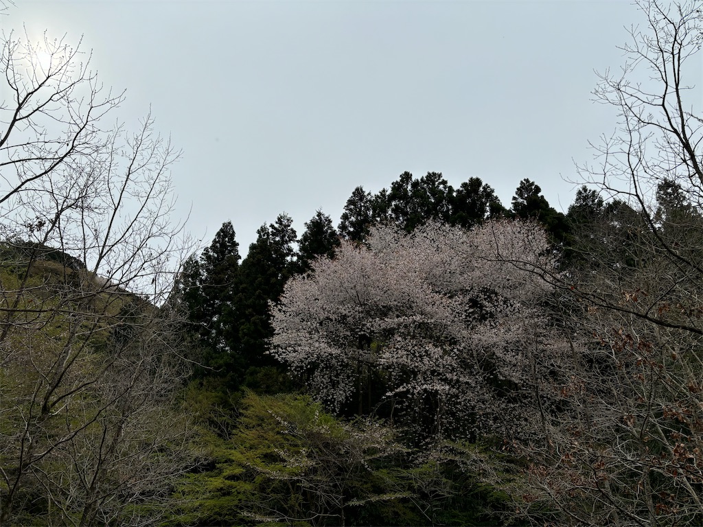 f:id:chitoseclimb:20250427120414j:image