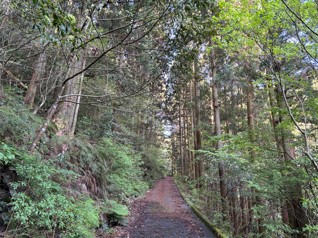 f:id:chitoseclimb:20250505224345j:image
