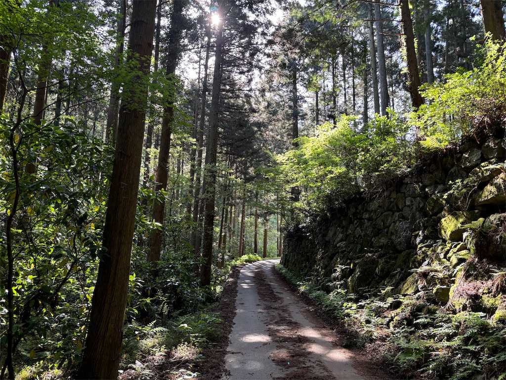 f:id:chitoseclimb:20250505224349j:image
