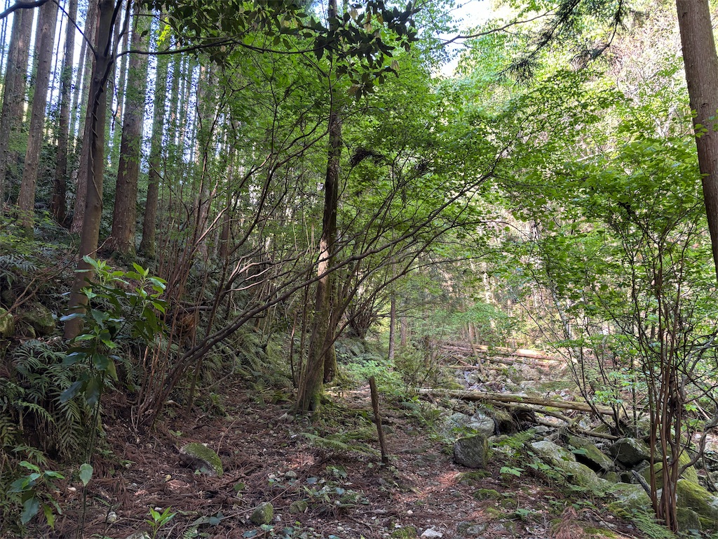 f:id:chitoseclimb:20250505224447j:image