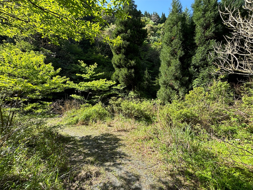 f:id:chitoseclimb:20250505224451j:image