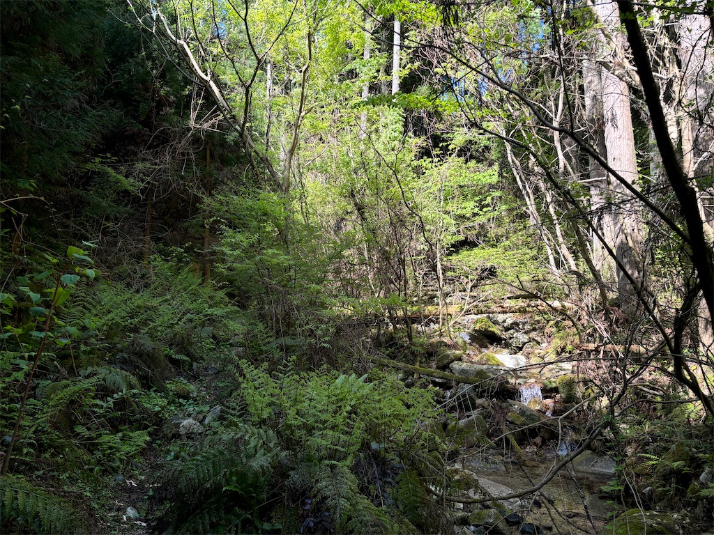 f:id:chitoseclimb:20250505224500j:image