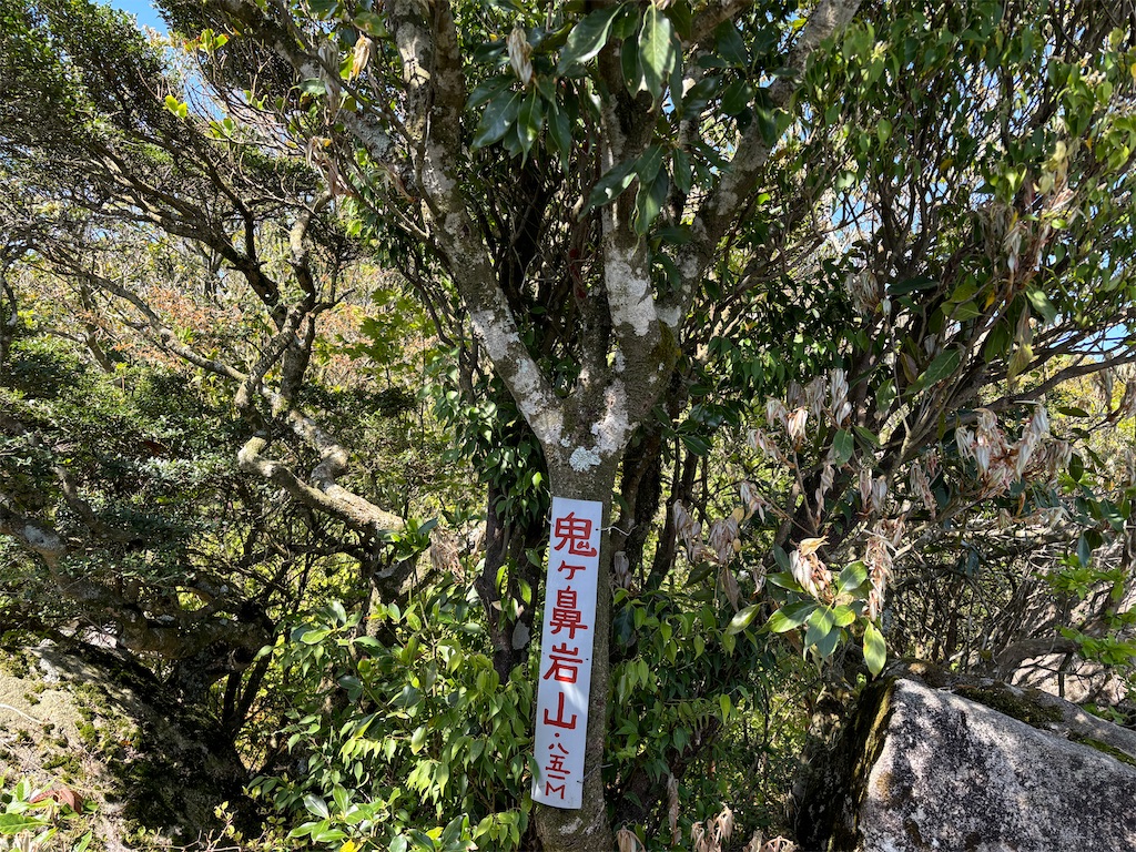 f:id:chitoseclimb:20250505224543j:image