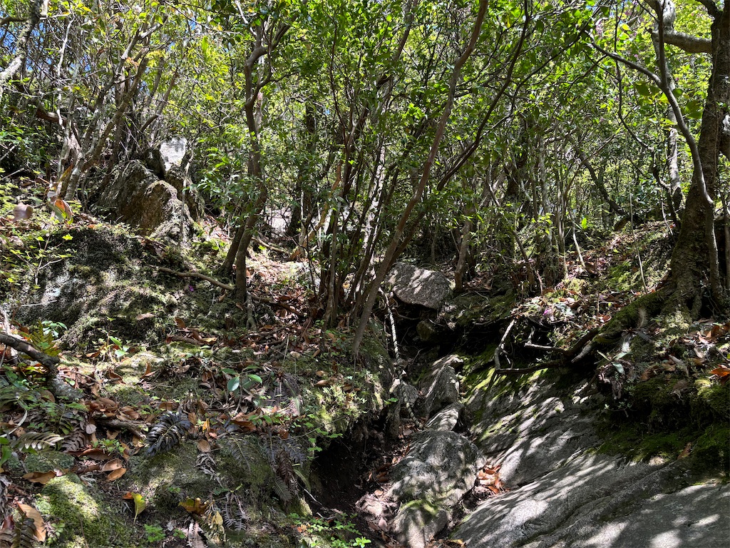 f:id:chitoseclimb:20250505224548j:image