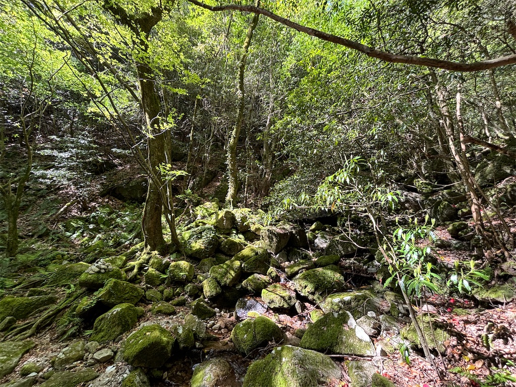 f:id:chitoseclimb:20250505224556j:image