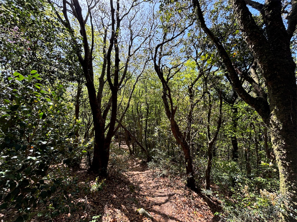 f:id:chitoseclimb:20250505224624j:image