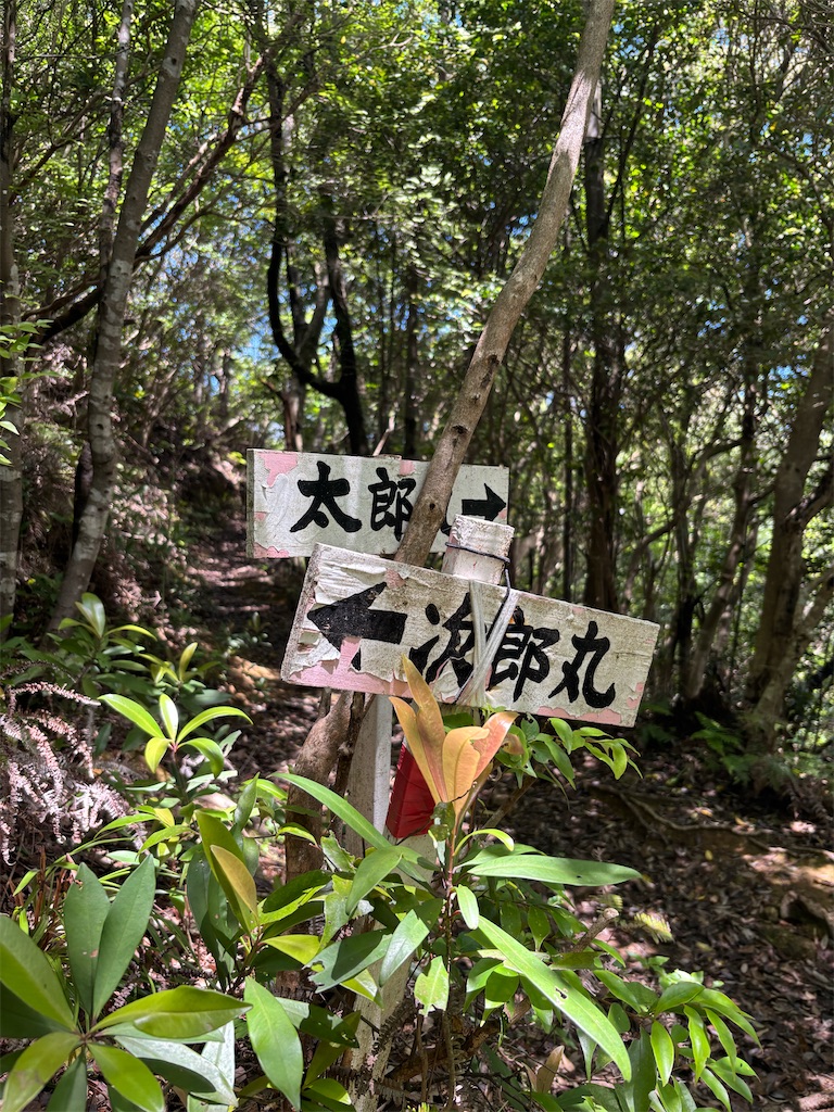 f:id:chitoseclimb:20250608231549j:image