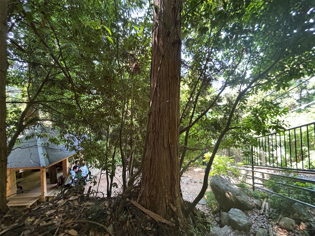 f:id:chitoseclimb:20250609012044j:image
