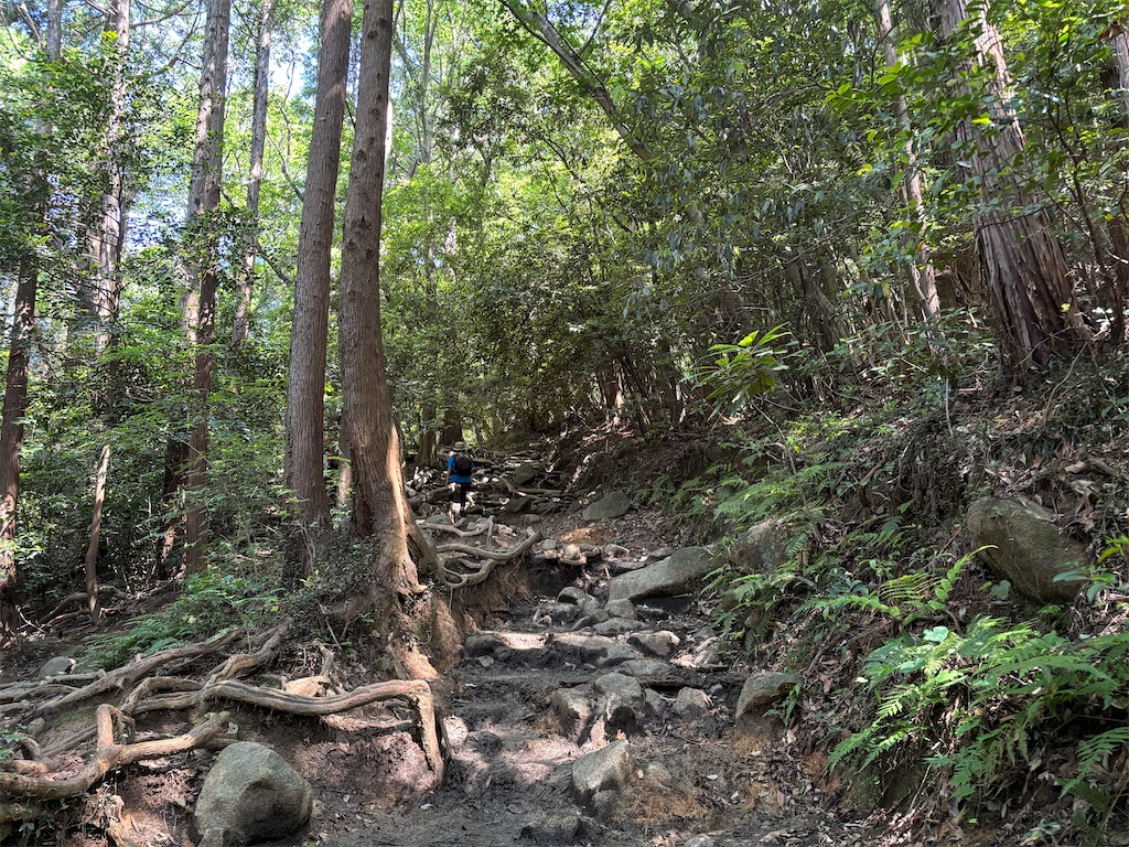 f:id:chitoseclimb:20250609012106j:image