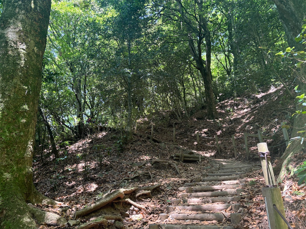 f:id:chitoseclimb:20250609012807j:image