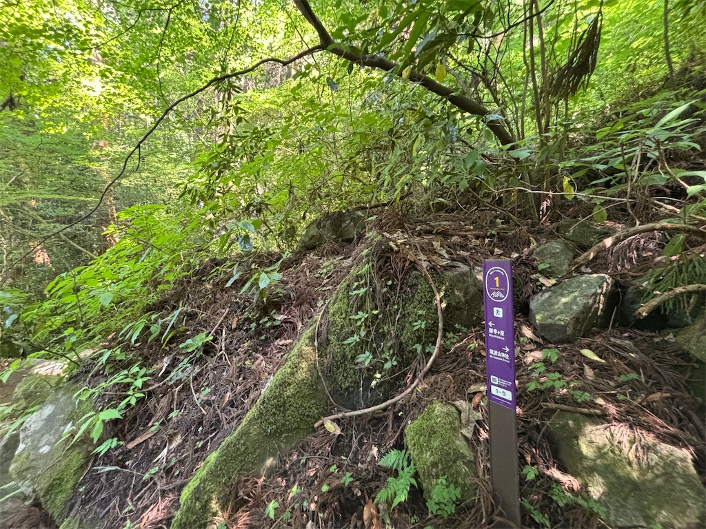 f:id:chitoseclimb:20250609012831j:image