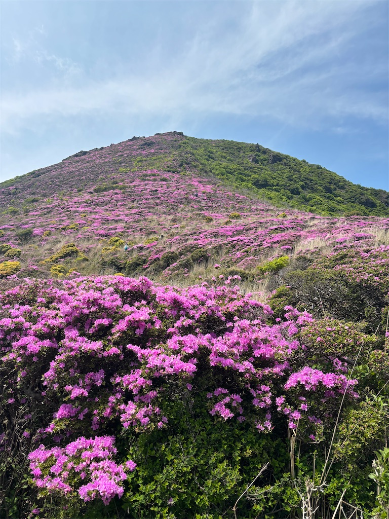 f:id:chitoseclimb:20250626233659j:image