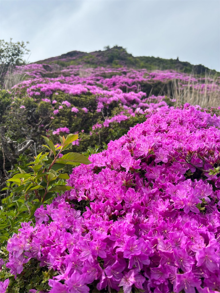 f:id:chitoseclimb:20250629000108j:image