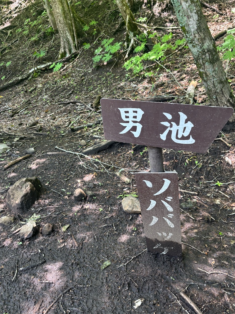 f:id:chitoseclimb:20250629000853j:image