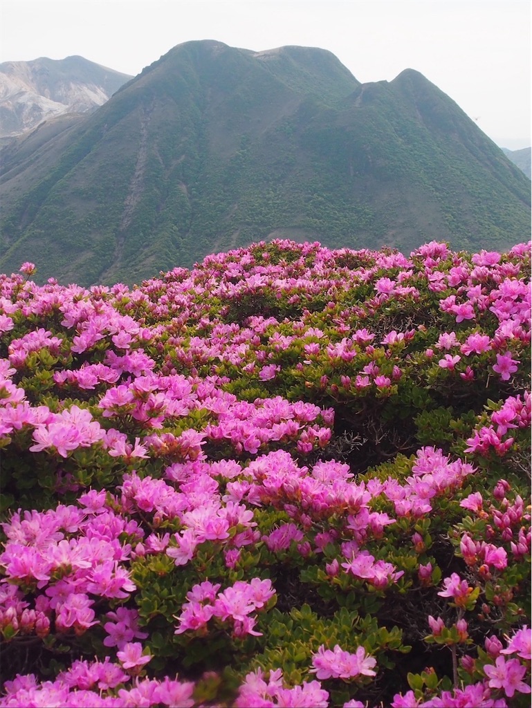 f:id:chitoseclimb:20250629001158j:image