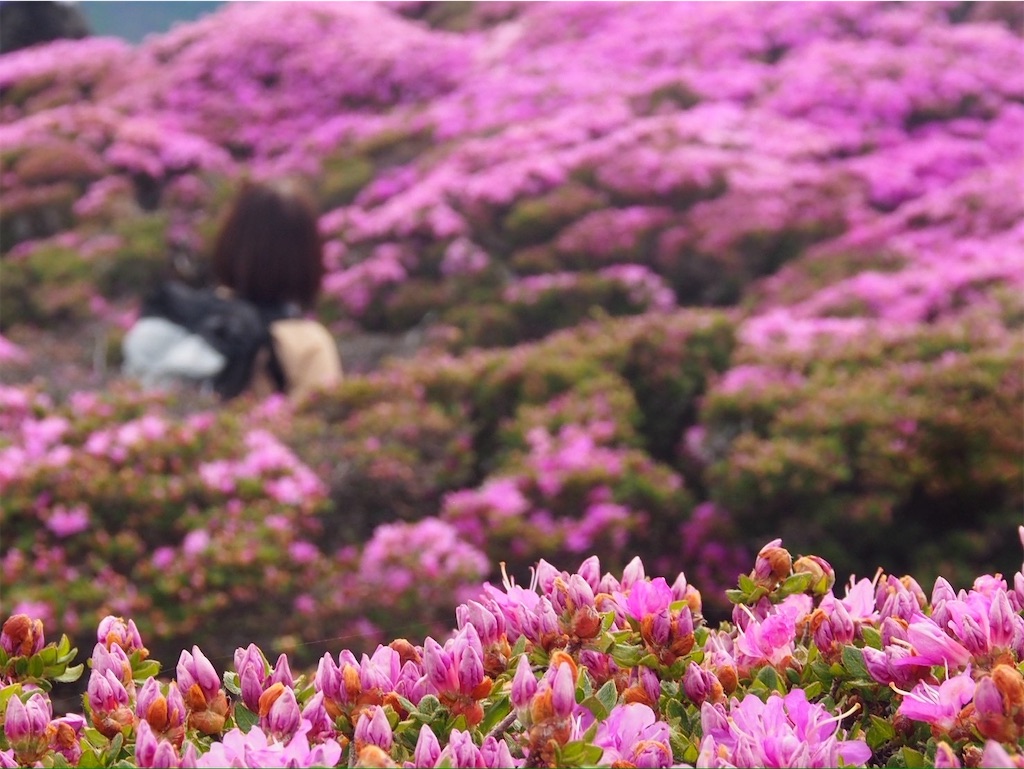 f:id:chitoseclimb:20250629184618j:image