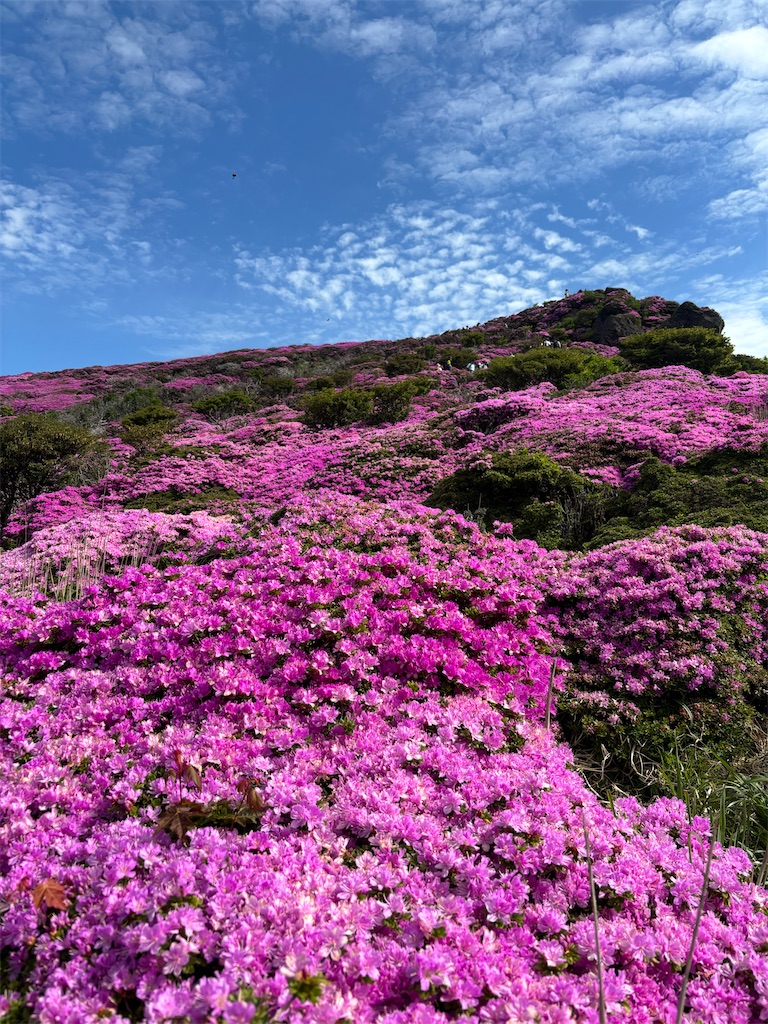 f:id:chitoseclimb:20250629234846j:image
