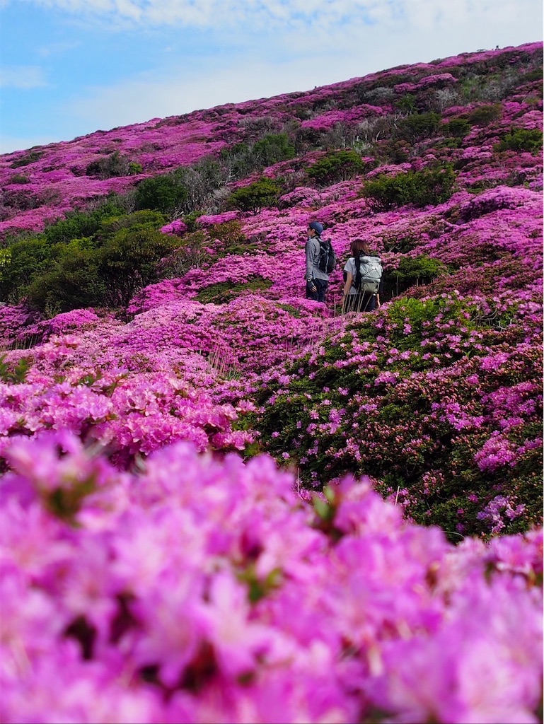 f:id:chitoseclimb:20250701001939j:image