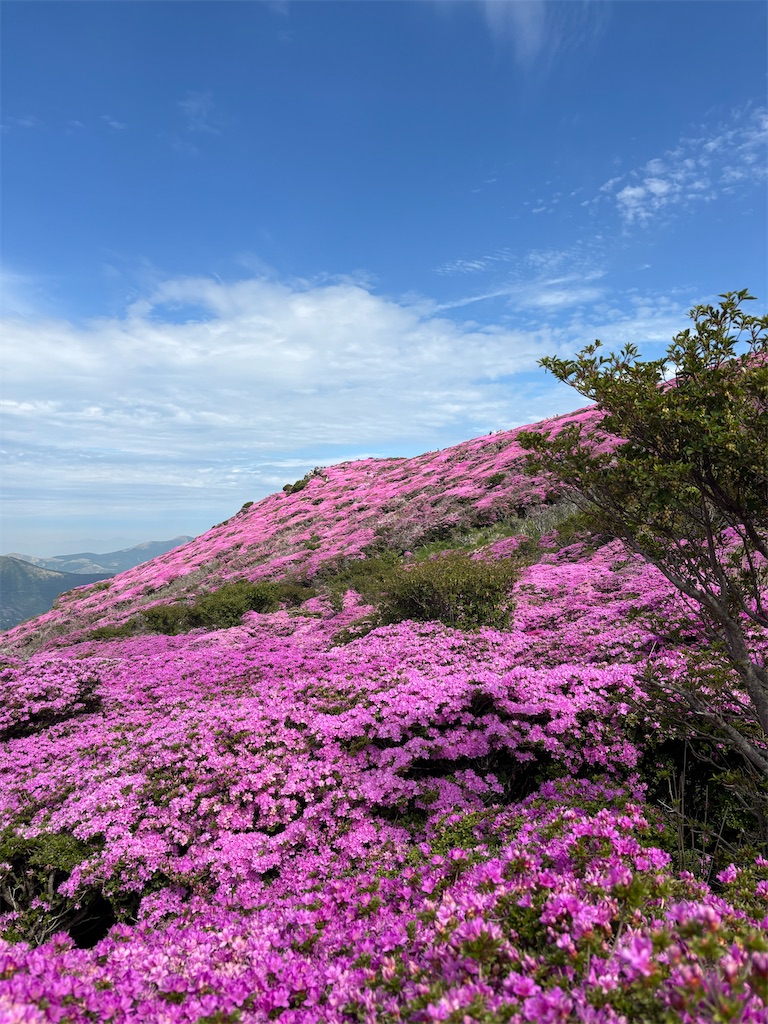 f:id:chitoseclimb:20250703000157j:image