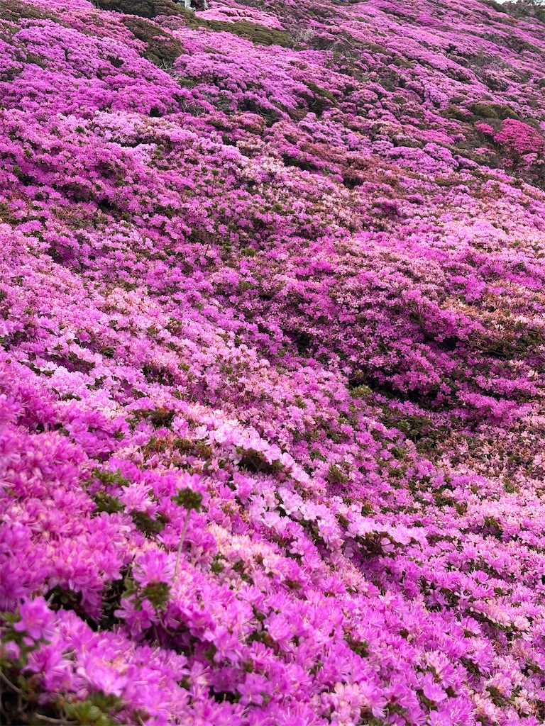 f:id:chitoseclimb:20250703000248j:image