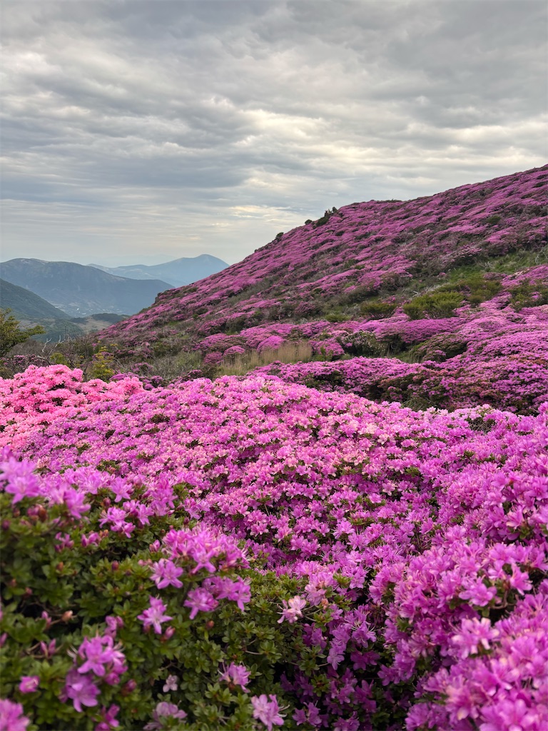 f:id:chitoseclimb:20250703234145j:image