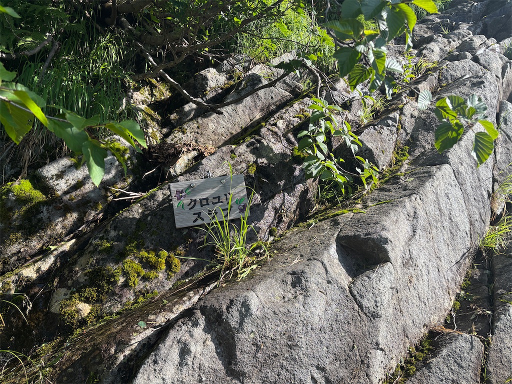 f:id:chitoseclimb:20250808235949j:image