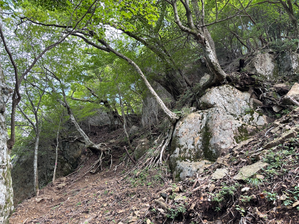 f:id:chitoseclimb:20250908214111j:image