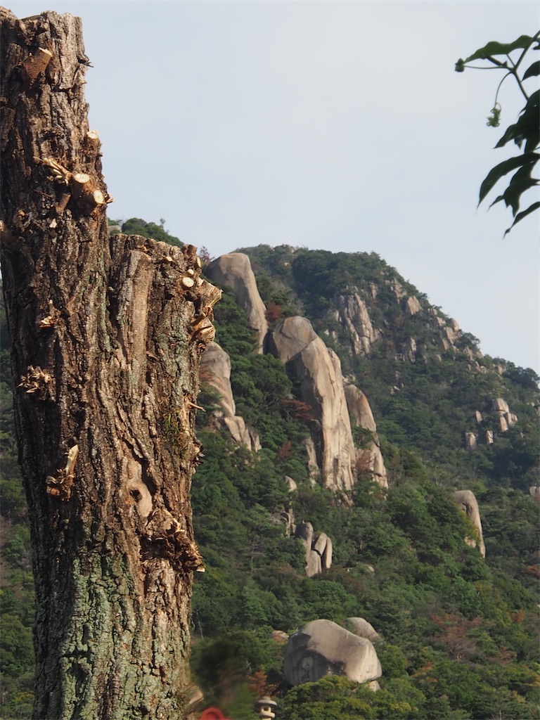 f:id:chitoseclimb:20250910205117j:image